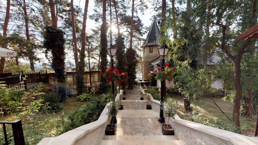 Parc Pini Moinesti - ORGANIZARI TABERE