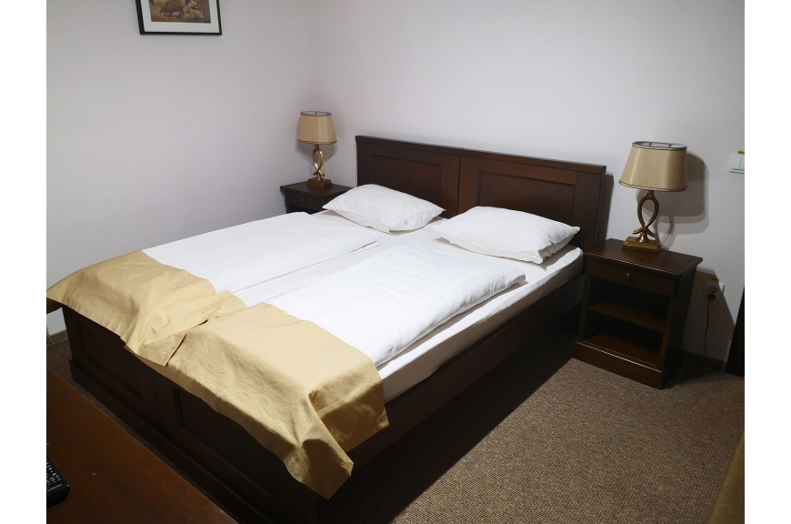 CAMERA NR.5 - camera tripla (2 locuri + canapea extensibila) cu baie proprie